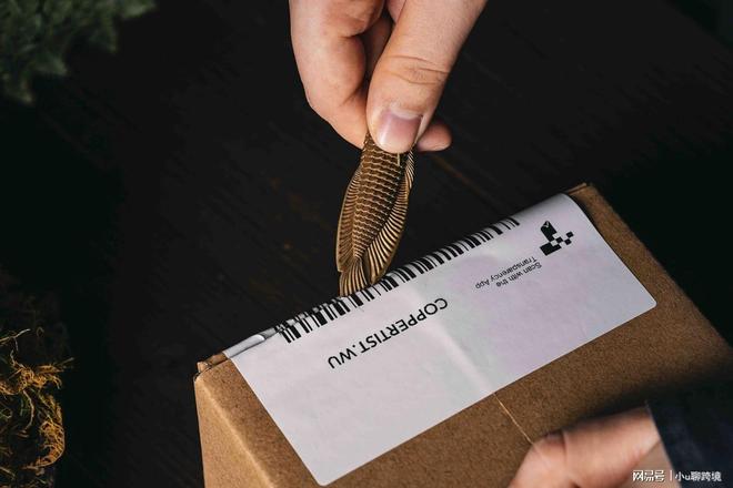 ？情趣用品独立站给你更大的自由空间冰球突破豪华版手机版平台管控太严(图2)