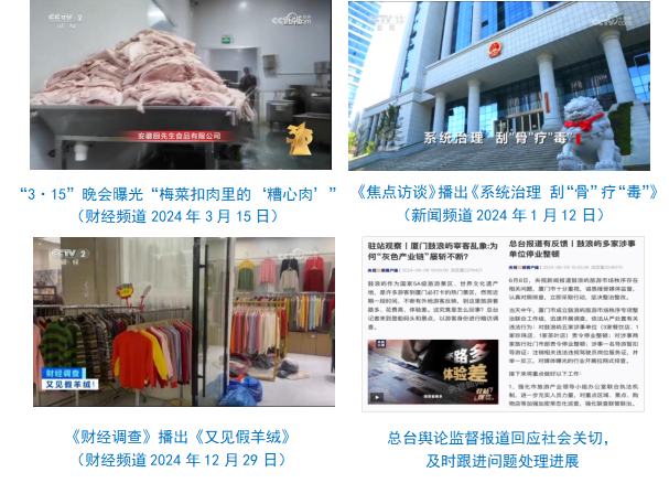 总台社会责任报告（2024年度）冰球突破豪华版手机版中央广播电视(图18)